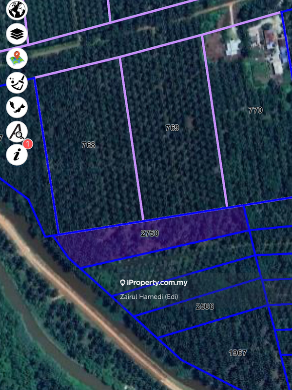 Agricultural Land for Sale in Bukit Robinson, Ijok by Zairul Hamedi (Edi) - iProperty.com.my