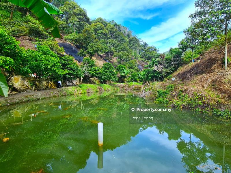 Agricultural Land for Sale in Bentong, Pahang by Irene Leong - iProperty.com.my