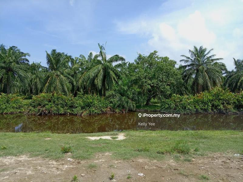 Tanah Pertanian untuk Dijual di Nibong Tebal, Penang oleh Kelly Yee - iProperty.com.my