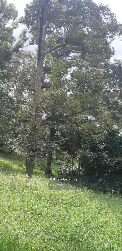 For Sale - Jelebu Titi Kg Chennah