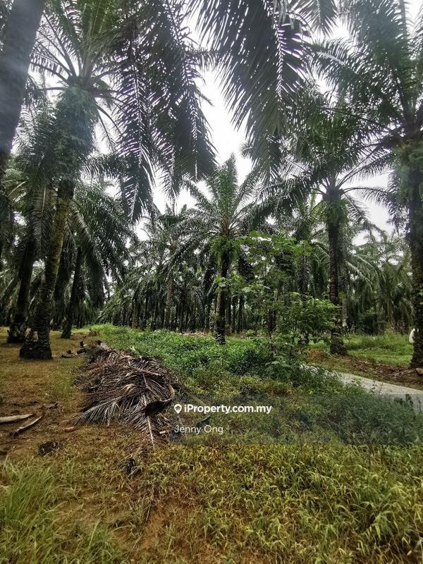 Residential Land for Sale in Bandar Puteri Jaya, Sungai Petani by Jenny Ong - iProperty.com.my