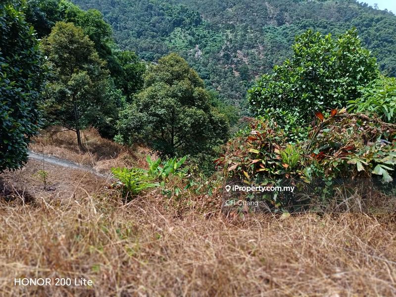Tanah Pertanian untuk Dijual di Kampung Sungai Pinang, Balik Pulau oleh CH Chang - iProperty.com.my