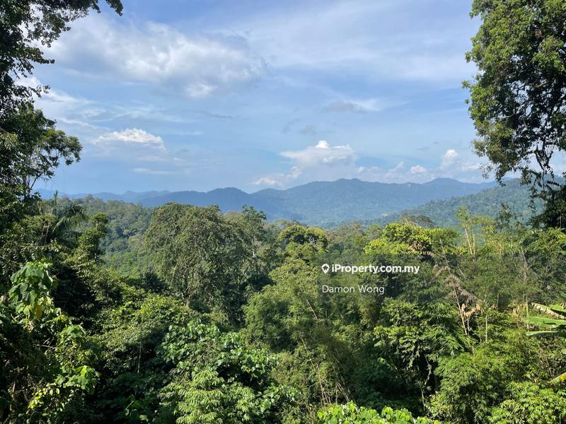 Tanah Pertanian untuk Dijual di Bentong, Pahang oleh Damon Wong - iProperty.com.my
