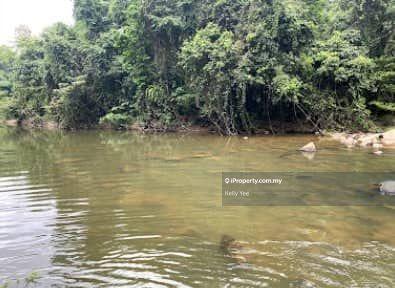 Agricultural Land for Sale in Primary Rain Forest Land in Ulu Tembeling for Sale, Jerantut by Kelly Yee - iProperty.com.my