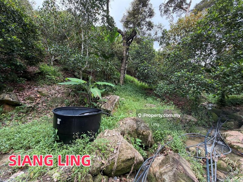 Tanah Pertanian untuk Dijual di Teluk Kumbar, Penang oleh Siang  Ling - iProperty.com.my