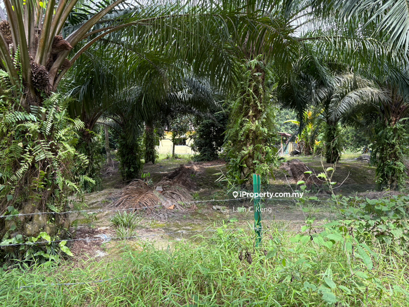 Tanah Pertanian untuk Dijual di Broga, Lenggeng oleh Lam C Keng - iProperty.com.my