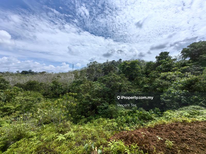 Agricultural Land for Sale in Kerambit, Kuala Lipis by Vincent Tee - iProperty.com.my