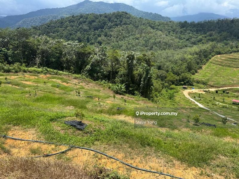 For Sale - Tanjong Malim