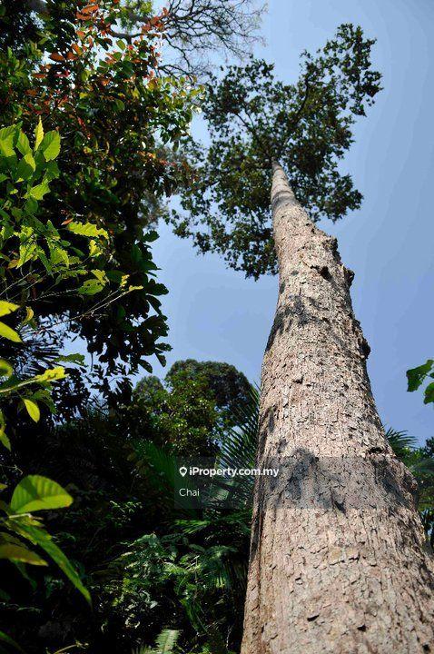 Tanah Kediaman untuk Dijual di Saujana Rawang, Kundang, Sungai Bakau, mahsing, Rawang oleh Chai - iProperty.com.my