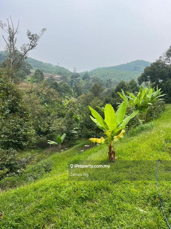 Agricultural Land for Sale in SG.GAPOI, Karak by James Ng - iProperty.com.my