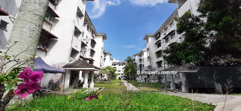 For Sale - Palma Puteri