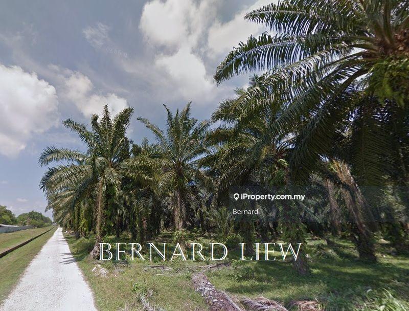 Agricultural Land for Sale in Bukit Panchor, Nibong Tebal by Bernard - iProperty.com.my