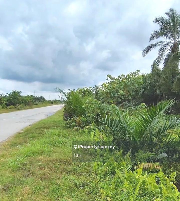 Industrial Land for Sale in x95qz, Ijok by Chai - iProperty.com.my