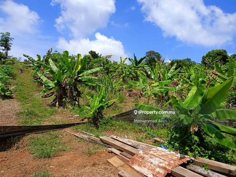 Agricultural Land for Sale in Balok, Sungai Karang by Mohammad Azizi - iProperty.com.my