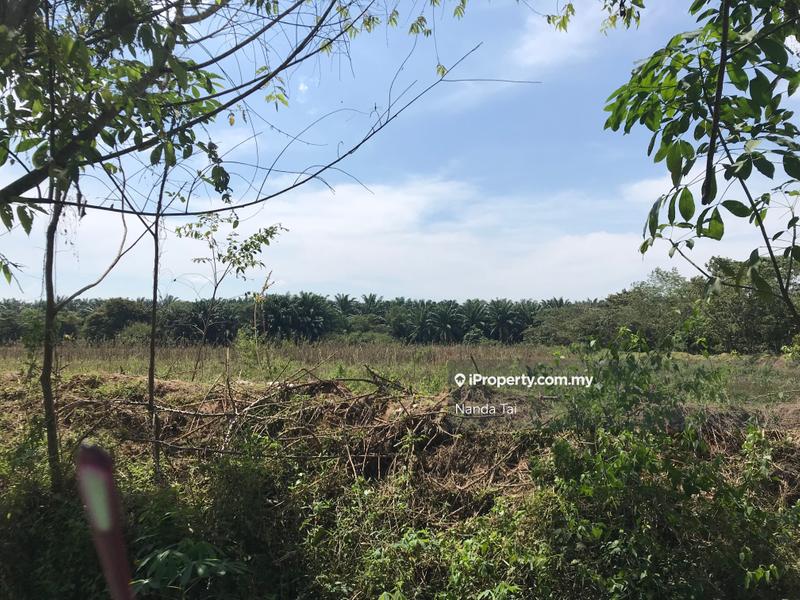 For Sale - Lembah Bujang