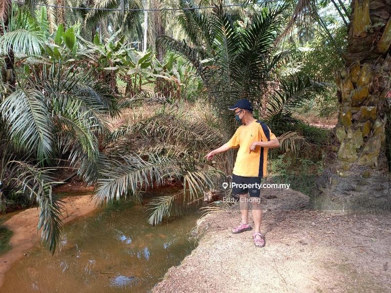 Tanah Pertanian untuk Dijual di Sri Lalang, Kluang oleh Eddy Chong - iProperty.com.my