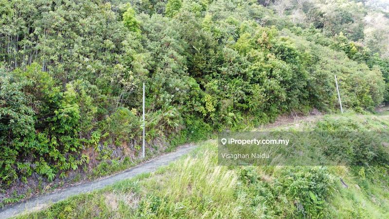 Tanah Pertanian untuk Dijual di Balik Pulau, Penang oleh Visaghan Naidu - iProperty.com.my