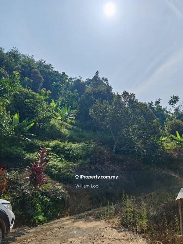 Agricultural Land for Sale in Tras, Raub by William Looi - iProperty.com.my