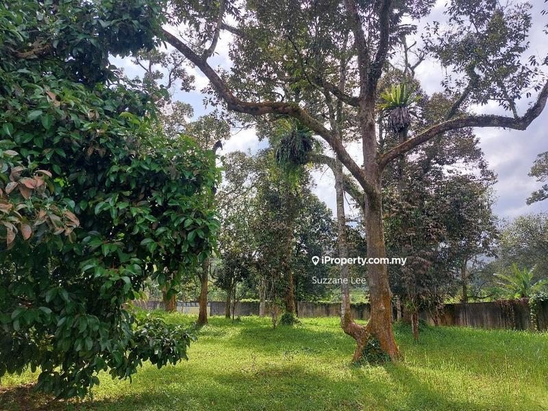 Agricultural Land for Sale in Kampung Kemunting Baru, Karangan by Suzzane Lee - iProperty.com.my
