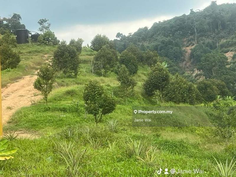 Agricultural Land for Sale in Taman Jelebu, Kuala Klawang by Janie Wai - iProperty.com.my