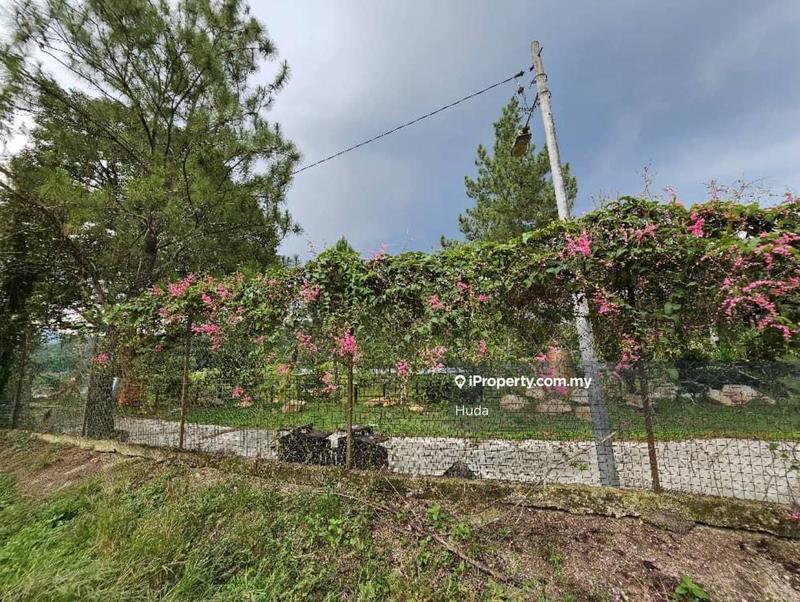 Agricultural Land for Sale in Pekan Batu 14, Hulu Langat by Huda - iProperty.com.my