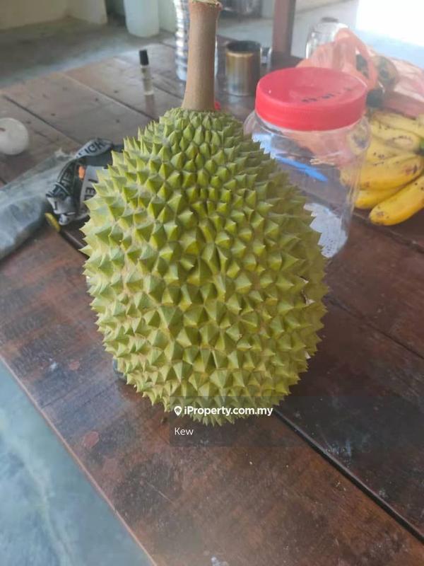Tanah Pertanian untuk Dijual di Negeri Sembilan , Titi, Titi oleh Kew - iProperty.com.my