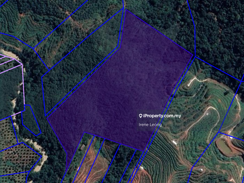 Agricultural Land for Sale in Bandar Tras, Raub by Irene Leong - iProperty.com.my