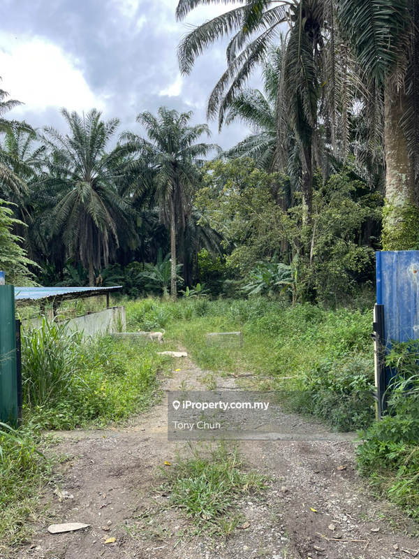 Tanah Perindustrian untuk Dijual di Broga , Semenyih, Semenyih oleh Tony Chun - iProperty.com.my