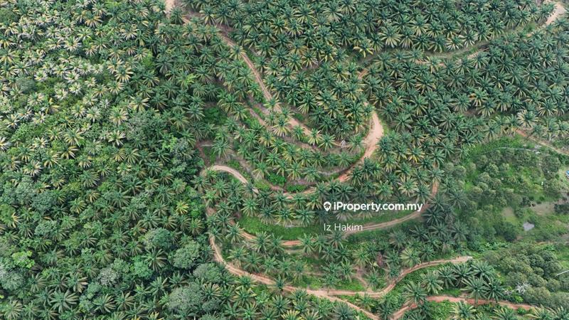 Agricultural Land for Sale in Kuala Kubu Baru, Selangor by Iz Hakim - iProperty.com.my