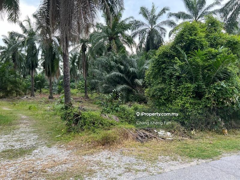 Industrial Land for Sale in uvzzt, Tanjong Duabelas by Chang Kheng Fatt - iProperty.com.my