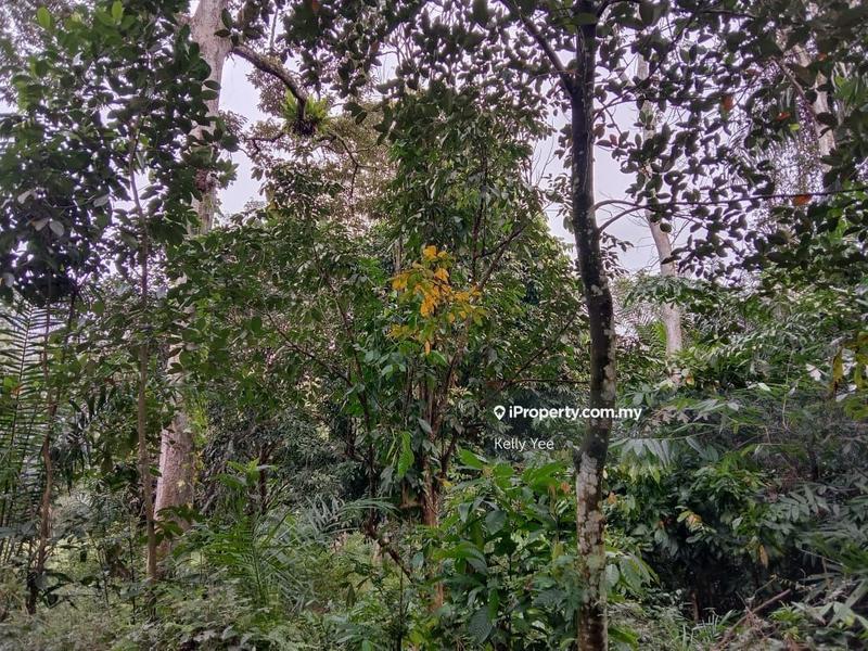 Agricultural Land for Sale in Sungai Lembu, Bukit Mertajam by Kelly Yee - iProperty.com.my