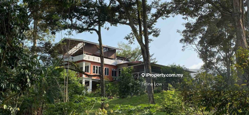 For Sale - Agricultural