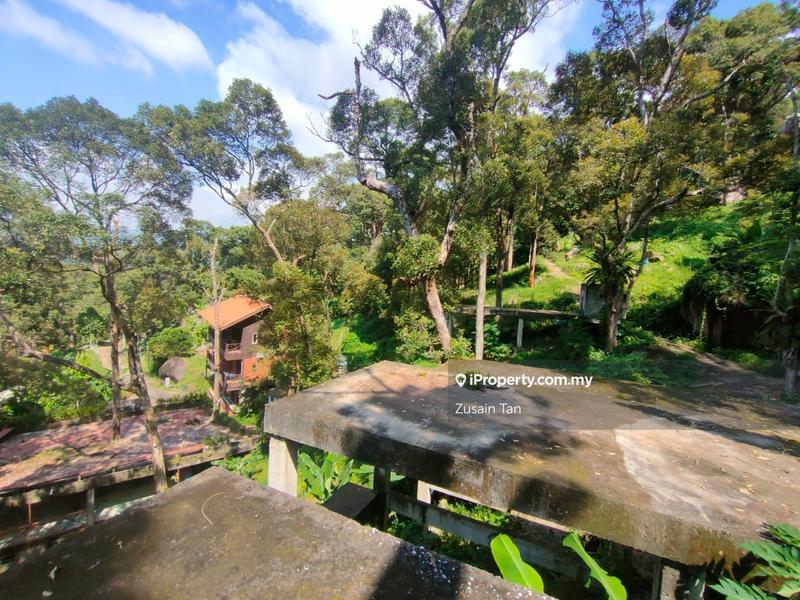 Agricultural Land for Sale in Pulau Betong, Balik Pulau by Zusain Tan - iProperty.com.my