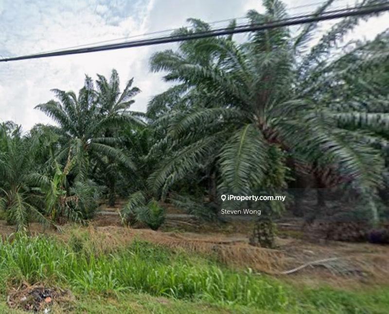 Agricultural Land for Sale in Kampung Sijangkang, Telok Panglima Garang by Steven Wong - iProperty.com.my