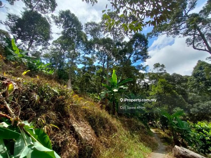 Tanah Pertanian untuk Dijual di Teluk Kumbar, Penang oleh Ooi Swee Khim - iProperty.com.my