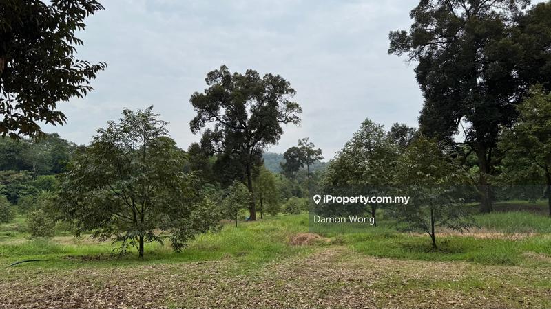 Agricultural Land for Sale in Karak, Karak by Damon Wong - iProperty.com.my