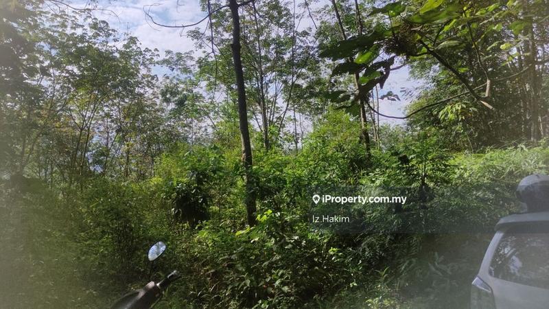 Tanah Pertanian untuk Dijual di hulu rening, Batang Kali oleh Iz Hakim - iProperty.com.my
