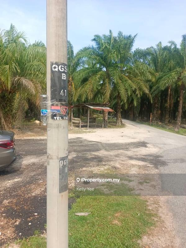 Agricultural Land for Sale in Karangan, Kedah by Kelly Yee - iProperty.com.my