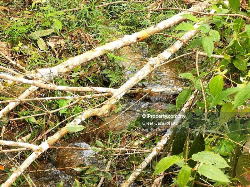 Agricultural Land for Sale in Slim River, Perak by Sherlyn Yeoh - iProperty.com.my
