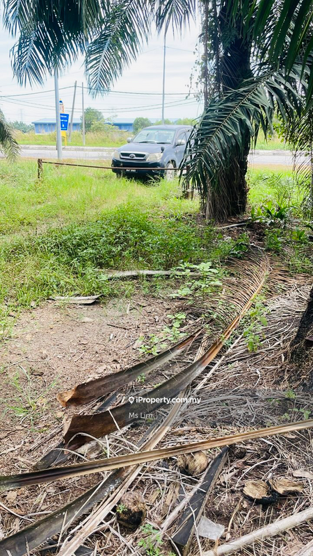 Tanah Pertanian untuk Dijual di Jeram, Jeram oleh Ms Lim - iProperty.com.my