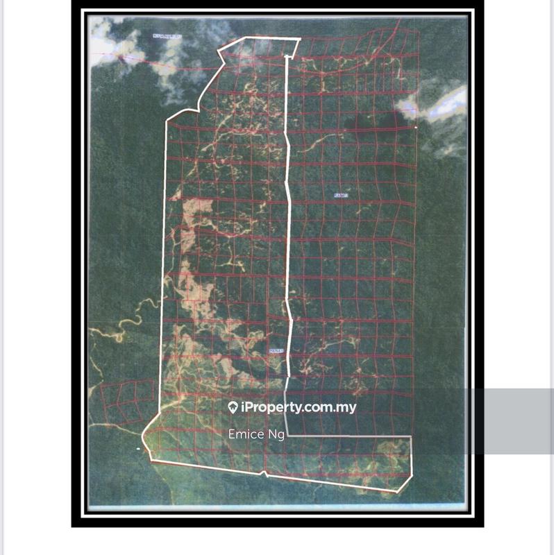 For Sale - Palm oil estate CL for sale