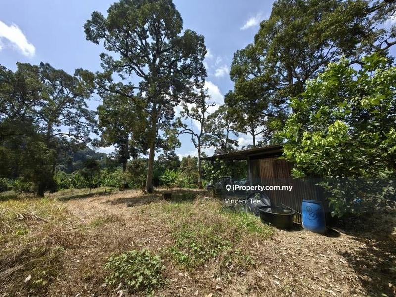 Agricultural Land for Sale in Bandar Baru Kuala Lipis, Kuala Lipis by Vincent Tee - iProperty.com.my