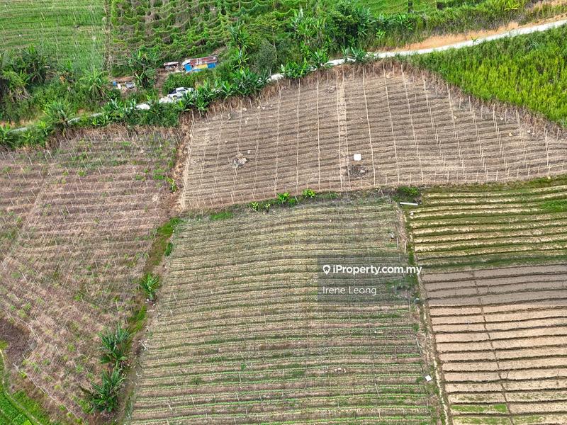 Tanah Pertanian untuk Dijual di Bukit Tinggi, Bentong oleh Irene Leong - iProperty.com.my