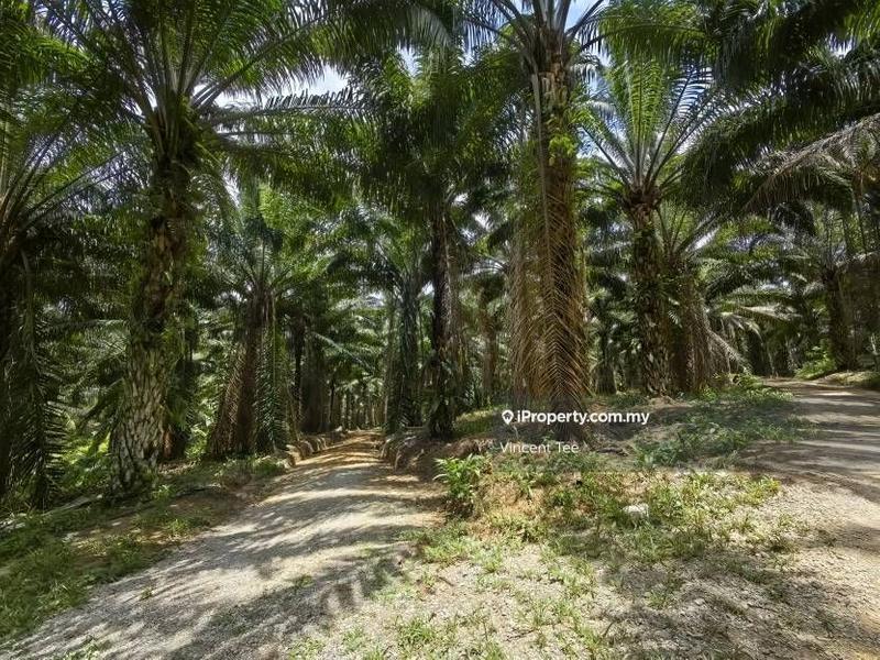 Tanah Pertanian untuk Dijual di Taman Jelebu, Kuala Klawang oleh Vincent Tee - iProperty.com.my