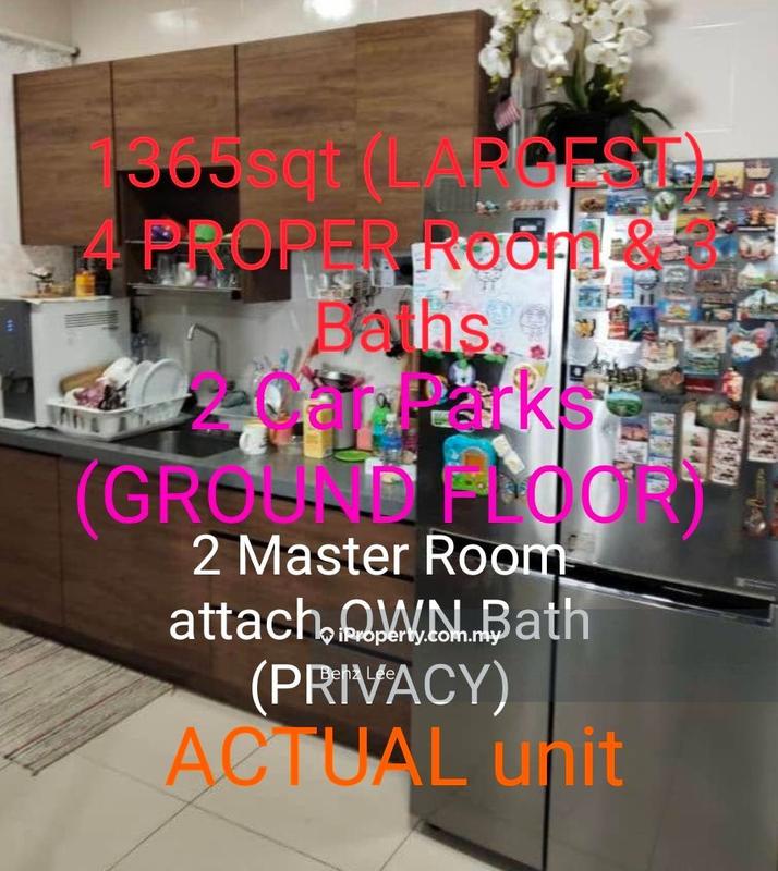 For Sale - Rafflesia