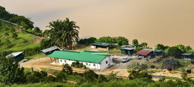 For Sale - 128 acres Musang and Black Thorn Plantation for Sale