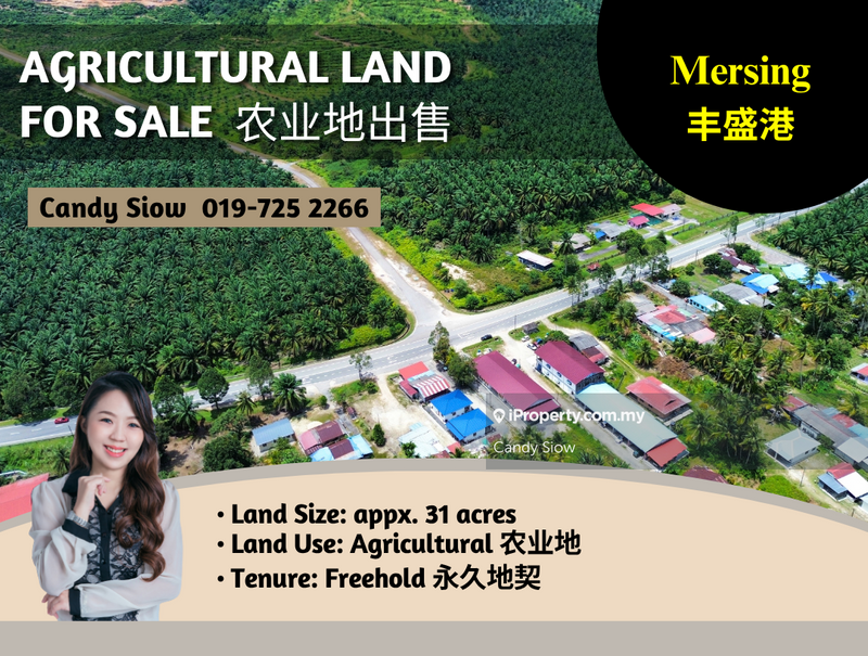 For Sale - Mersing 31 acres Agricultural Land