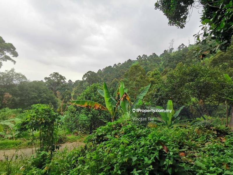 Tanah Pertanian untuk Dijual di Bukit Relau, Balik Pulau oleh Vincent Tee - iProperty.com.my