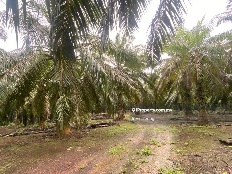 Tanah Perindustrian untuk Dijual di Taman Mentakab, Mentakab oleh Irene Leong - iProperty.com.my