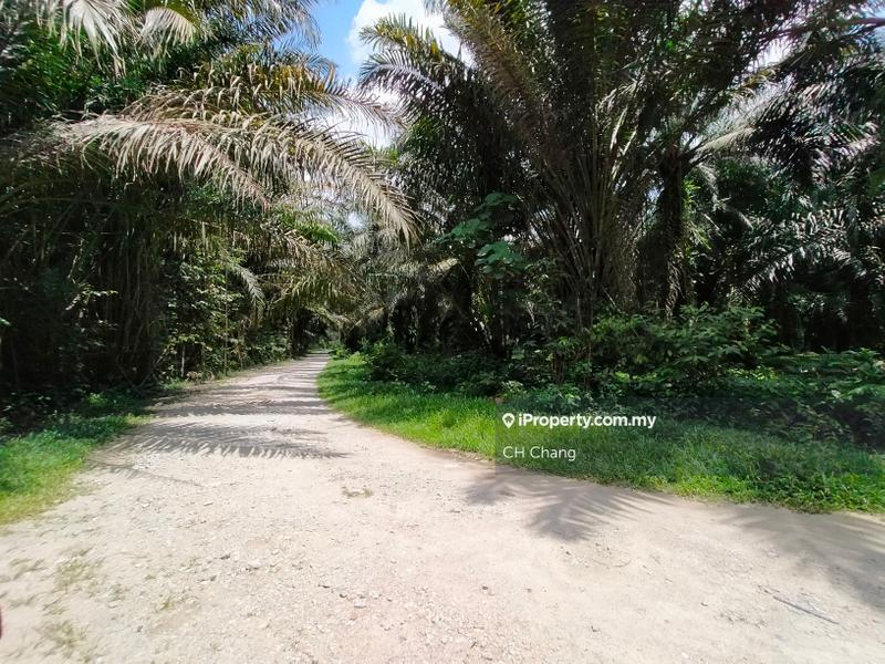 For Sale - Arriculture Land